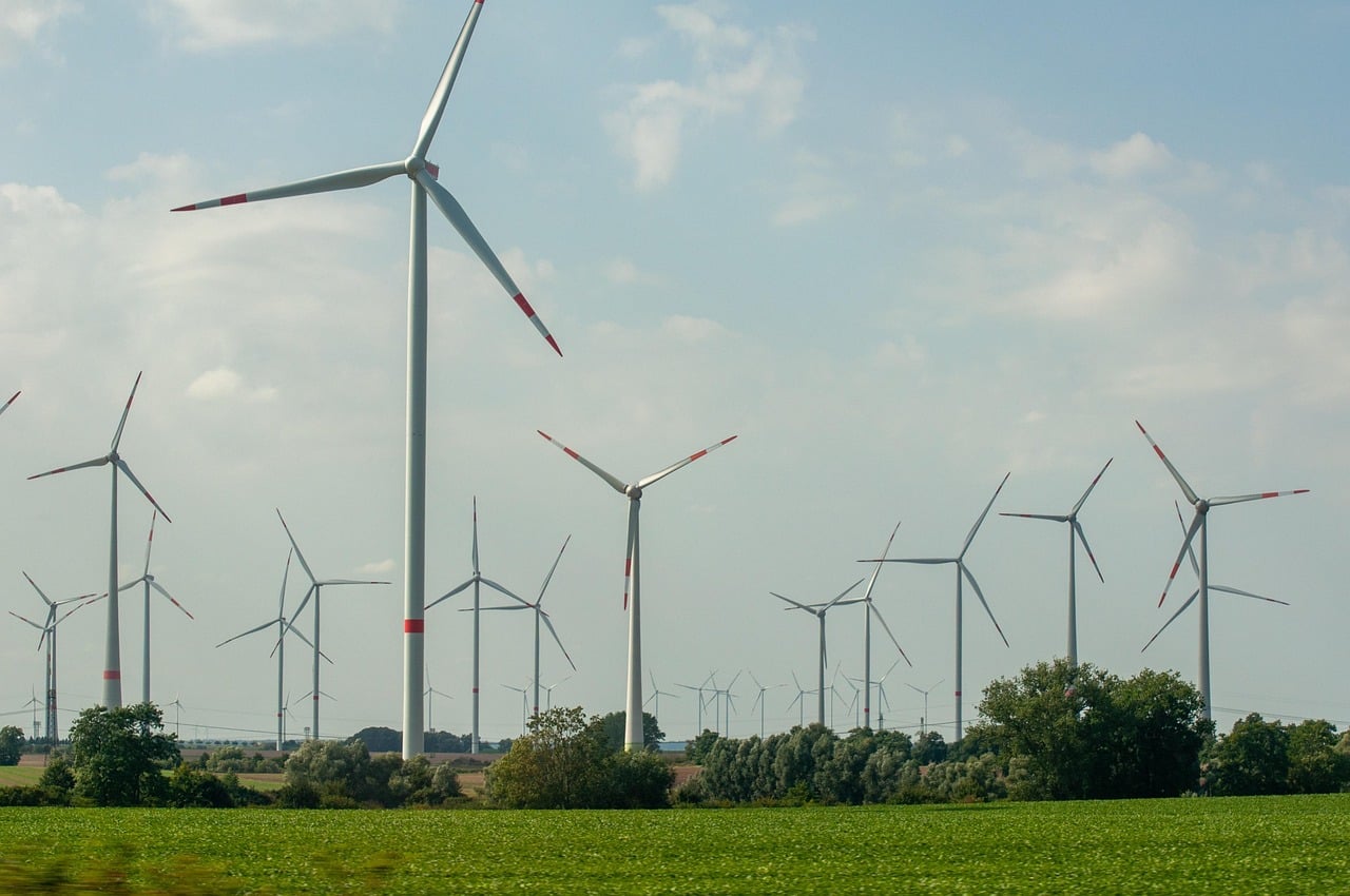 UAE commits $4.5 billion to 60 clean energy projects in Africa at AU summit  