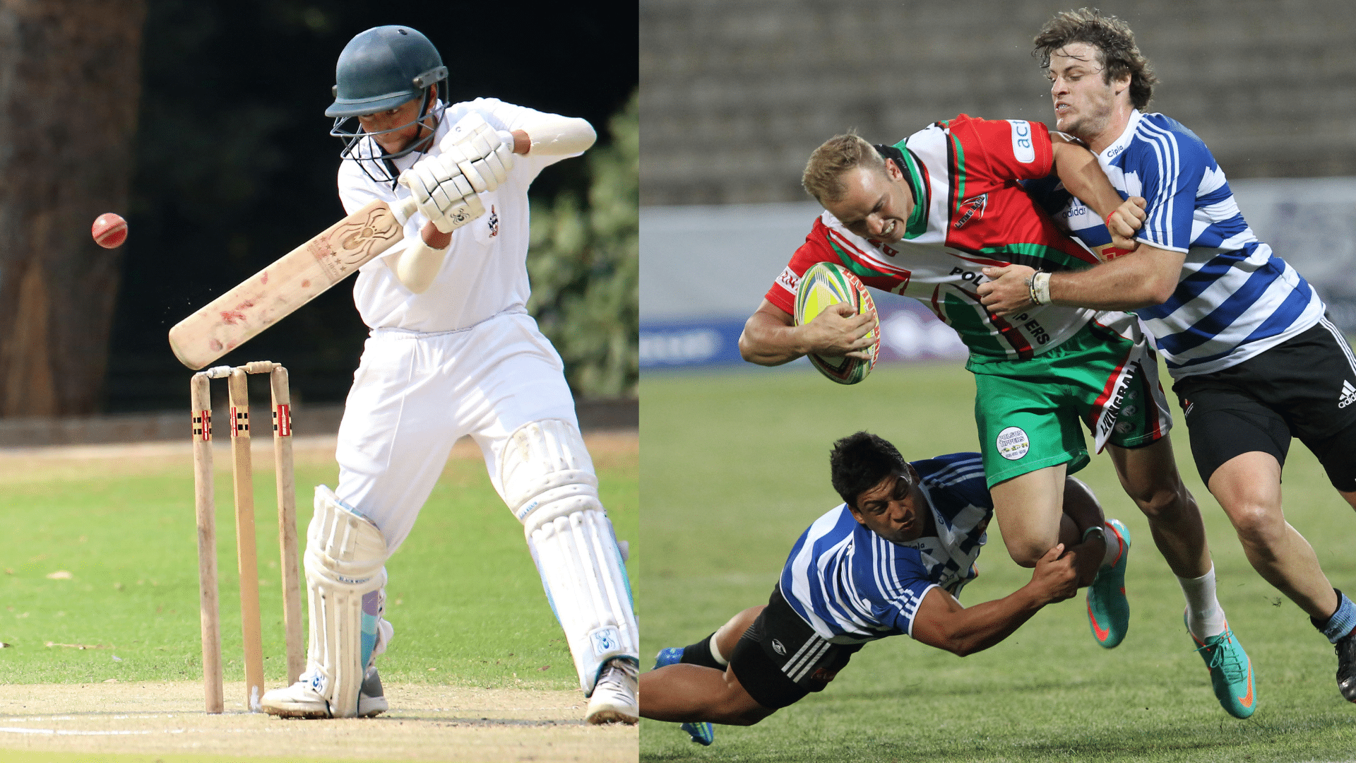 The business potential of cricket and rugby in Africa
