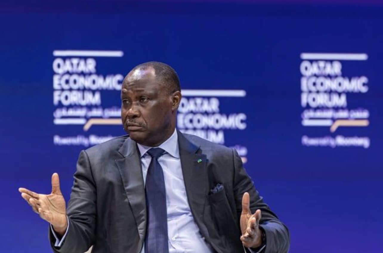 Tanzania backs Africa Finance Corp. with equity investment after rating upgrade