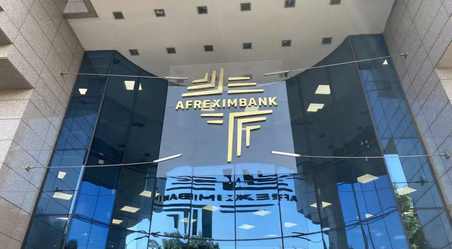 Global investors back Afreximbank with $800m in 2025 despite rating downgrades